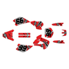 Graphics Kit for Kawasaki KX 80 (1998-2004) Predator Series
