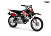 Graphics Kit for Honda CRF70 (2004+) Fh Series