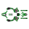 Graphics Kit for Yamaha TTR225 (1999-2004) Predator Series