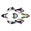 Graphics Kit for Kawasaki KLX110 (2010-2024) Jester Series