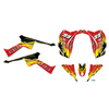 Graphics Kit for Canam DS90 (2008-2018) Fracture Series