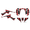 Graphics Kit for Canam DS90 (2008-2018) Swift Series