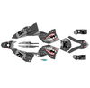 Graphics Kit for Ktm 250SX (2007) Predator Series