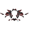 Graphics Kit for Yamaha MT09 / FZ09  (2021-2023) Velocity Series