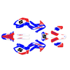Graphics Kit for Honda CRF450X (2005-2007) Venom Series