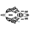 Graphics Kit for Mototec PRO 60V (All Years) Prime Series