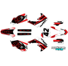 Graphics Kit for Honda CRF250R (2010-2013) Team Series