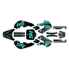 Graphics Kit for Kawasaki KX65 (1999-2024) Fatality Series