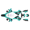 Graphics Kit for Kawasaki KX250 (2003-2008) Speed Series