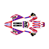 Graphics Kit for Kawasaki KX85 (2001-2013) Split Series