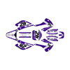 Graphics Kit for Kawasaki KX100 (2001-2013) Lethal Series