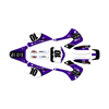 Graphics Kit for Kawasaki KX100 (2001-2013) Speed Series
