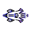 Graphics Kit for Kawasaki KX100 (2001-2013) Splash Series