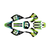 Graphics Kit for Kawasaki KX100 (2001-2013) Splash Series
