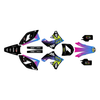 Graphics Kit for Kawasaki KX250F (2009-2012) Lancaster Series