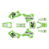 Graphics Kit for Kawasaki KX250 (1995-1998) Lethal Series