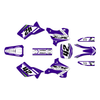Graphics Kit for Kawasaki KX250 (1995-1998) Lethal Series