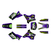 Graphics Kit for Kawasaki KX125 (1995-1998) Warrior Series
