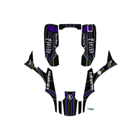 Graphics Kit for Honda TRX300EX (1993-2006) Electron Series
