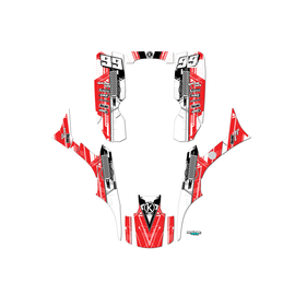 Graphics Kit for Honda TRX300EX (1993-2006) Future Series