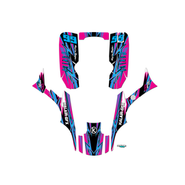 Graphics Kit for Honda TRX300EX (1993-2006) Shred Series