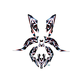 Graphics Kit for Yamaha RAPTOR 250 (All years) Vision Series