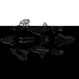 Graphics Kit for Honda CRF250R (2022-2024) Vandal Series