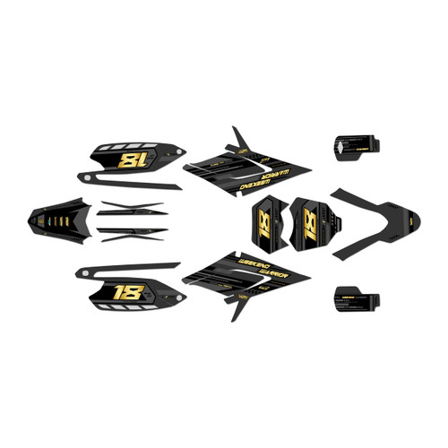 apollo rfz250 graphics kit all years warrior series gold