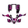 yamaha yfs200 graphics kit 1988-2006 lethal series purple