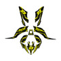 yamaha raptor250 graphics kit all years electron series yellow