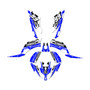 yamaha raptor250 graphics kit all years future series blue
