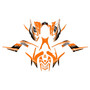 yamaha raptor700 graphics kit 2006-2012 blitz series orange