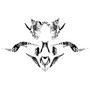 yamaha raptor700 graphics kit 2013-2026 revolt series white
