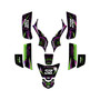 kawasaki kfx50 graphics kit 2003-2006 midgard series purple