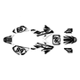 honda crf50 graphics kit 2004-2012 division series white