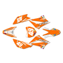 kawasaki klx110 graphics kit 2010-2026 blaze series orange