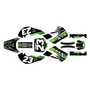 kawasaki klx110 graphics kit 2002-2009 fh series green