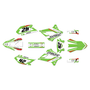 kawasaki klx250 graphics kit 2008-2020 lethal series green