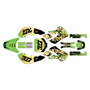 kawasaki kx65 graphics kit 1999-2026 rail series gold