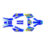 yamaha ttr250 graphics kit 1999-2006 fh series yellow-blue