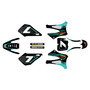 cobra cx50sr graphics kit 2010-2011 bold series teal