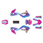 cobra cx3e graphics kit 2025 pulse series magenta