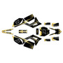 mototec pro60v graphics kit all years evader series gold