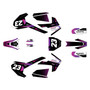 mototec pro72v graphics kit all years evader series purple