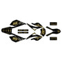 beta rr 50 graphics kit 2006-2010 rift series gold