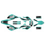 beta rr 50 graphics kit 2006-2010 warrior series teal