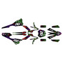 beta xtrainer250 & 300 graphics kit 2020-2022 core series green
