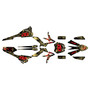 beta xtrainer250 & 300 graphics kit 2020-2022 core series gold