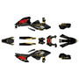 beta 250-450rx  graphics kit 2025-2026 guard series gold