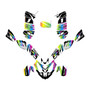 polaris predator500 graphics kit 2002-2007 blazing series rainbow